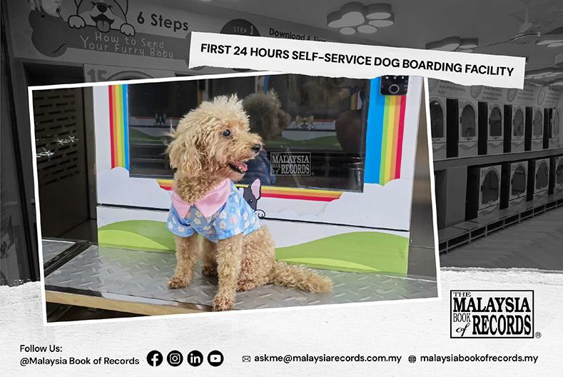 24-Hour Self-Service Dog Boarding Miri