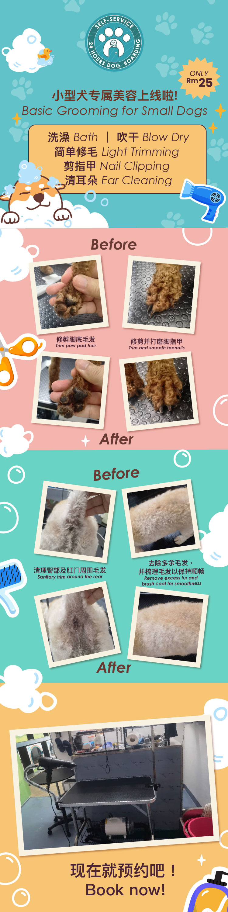 24-Hour Self-Service Dog Boarding Miri Pirce